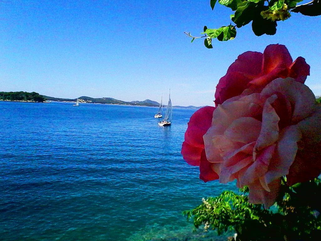 Sea Of Eden Appartement Dubrovnik Buitenkant foto